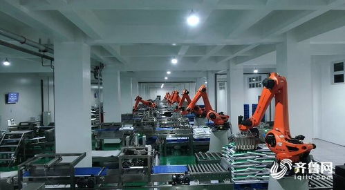 濰坊昌樂 無廢工廠 變廢為寶增效益 年碳減排約60萬噸