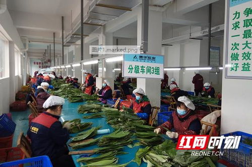 康華實業(yè) 扶貧工廠 復(fù)工忙 暖心工程 有力量