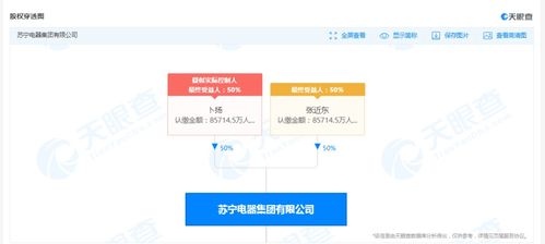 突發(fā) 蘇寧電器集團被強制執(zhí)行超過30億元